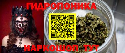 стаф Бузулук