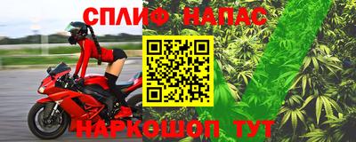 стаф Бузулук