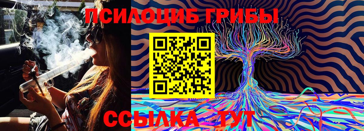 Галлюциногенные грибы Psilocybe  Вход с VPN  Орёл 
